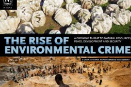 The rise of environmental crime