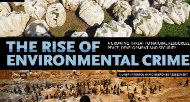 The rise of environmental crime