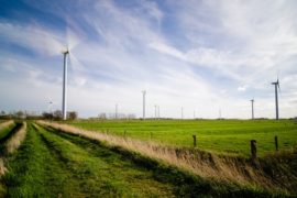 Windmolens bedreigen Amsterdamse natuur