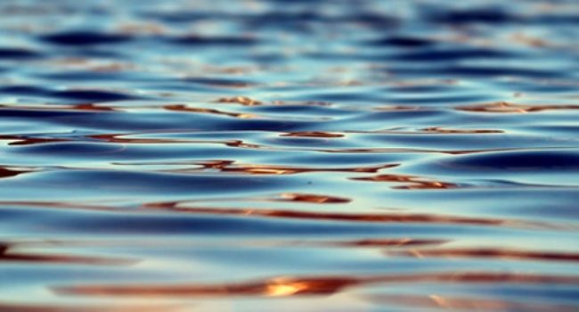 Inspectie waterschap na zomerzondvloed: ‘Dijken hebben zich goed gehouden’