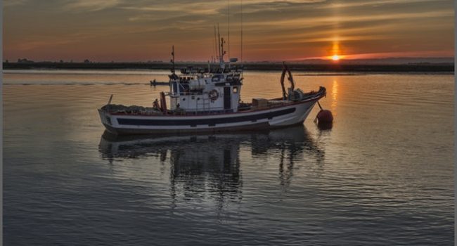 Lichamen van vermiste vissers gevonden in stuurhut gezonken Urker boot