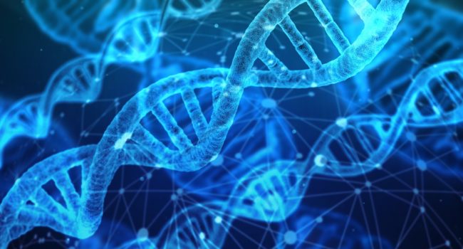 OM wil Amerikaanse DNA-databanken gebruiken om cold cases op te lossen