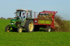 Nederland ‘versteent’: Landbouw wijkt voor groei woon- en werkterrein