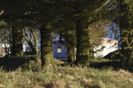 Trekpleister of probleemwijk: Veluwse gemeenten leggen vakantieparken onder de loep