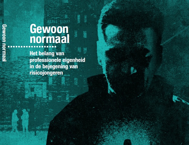 Boek Gewoon Normaal, het belang van professionele eigenheid in de