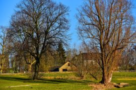 Angstcultuur bij zorgboerderij Oldenbosch in Holwierde: ‘Overal hangen camera’s’