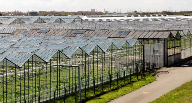Glastuinbouw pleit voor meer en betere huisvesting arbeidsmigranten
