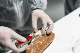 125 kilo cocaïne bestemd voor uitvoer naar Italië: OM eist 4 jaar celstraf