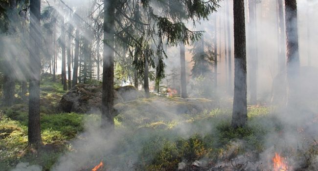 Communicatie bij felle brand op Ginkelse Heide chaotisch