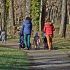 Kinderopvang is volgens sommige ouders niet goed voor hun kind
