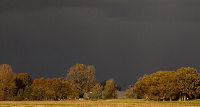 Groene boa’s werken samen over de provinciegrens