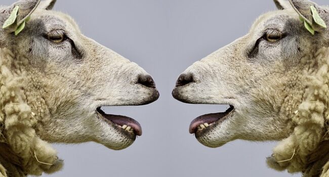 Veel gevoelde vijandigheid, maar weinig polarisatie in het dagelijks leven